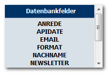 Newsletter_Datenbankfelder_Email_Marketing_Software_BACKCLICK